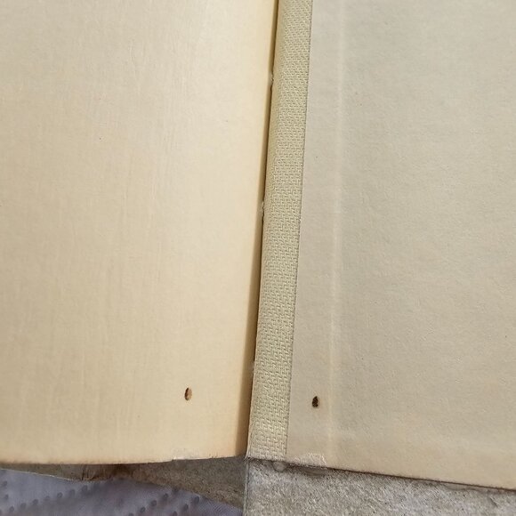 Fireside Family Edition NAB Catholic Bible With Jesus Portrait Cover & Illustrat - Picture 14 of 15